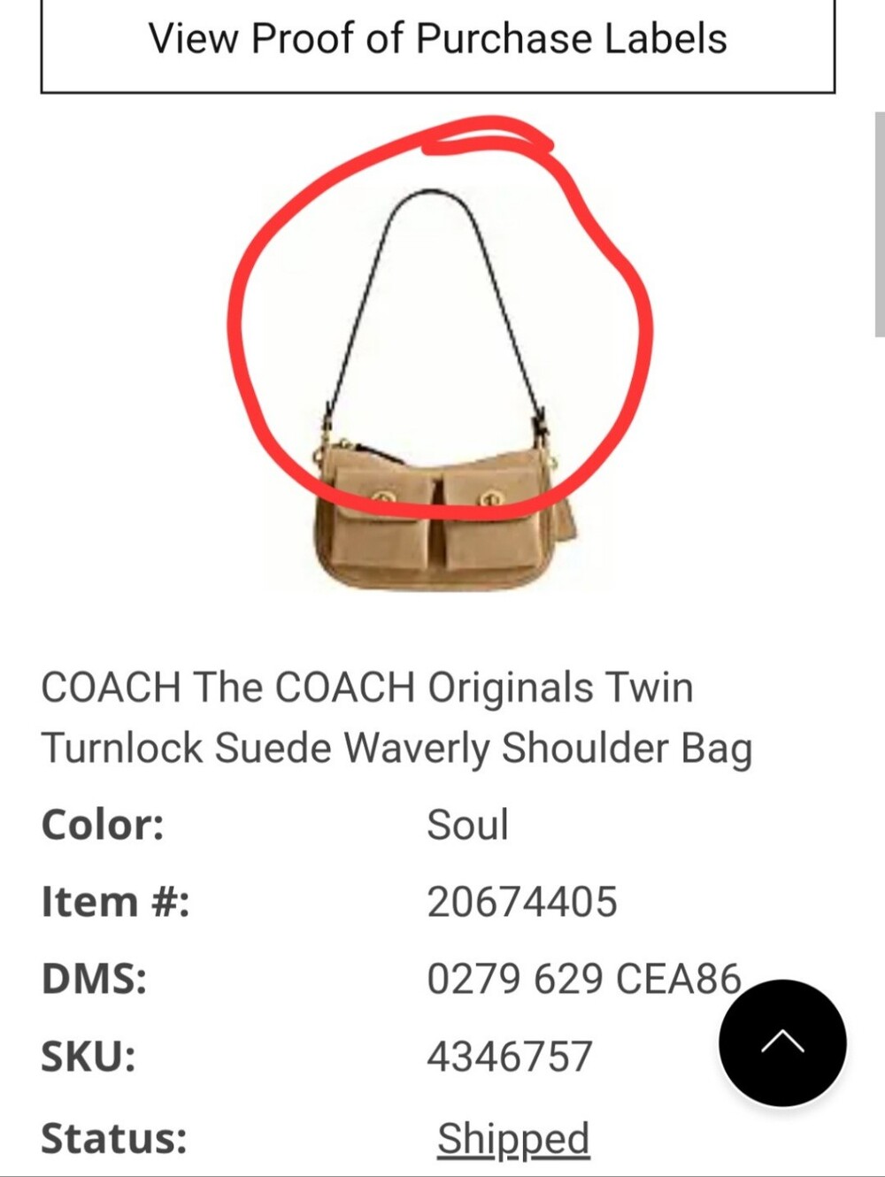 ISO SUEDE STRAP IN SOUL ONLY!!!!